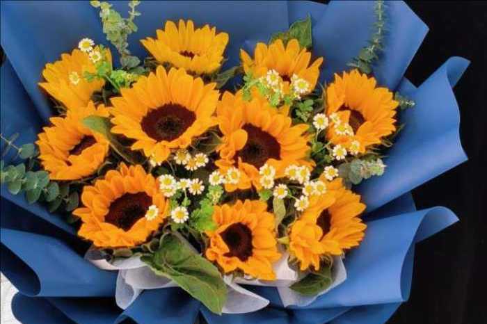 宿迁花店 宿迁花店